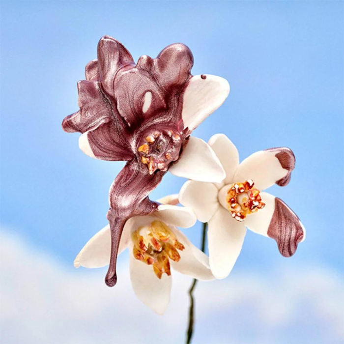 CH 212 HEROES MUJER EDP 80ML