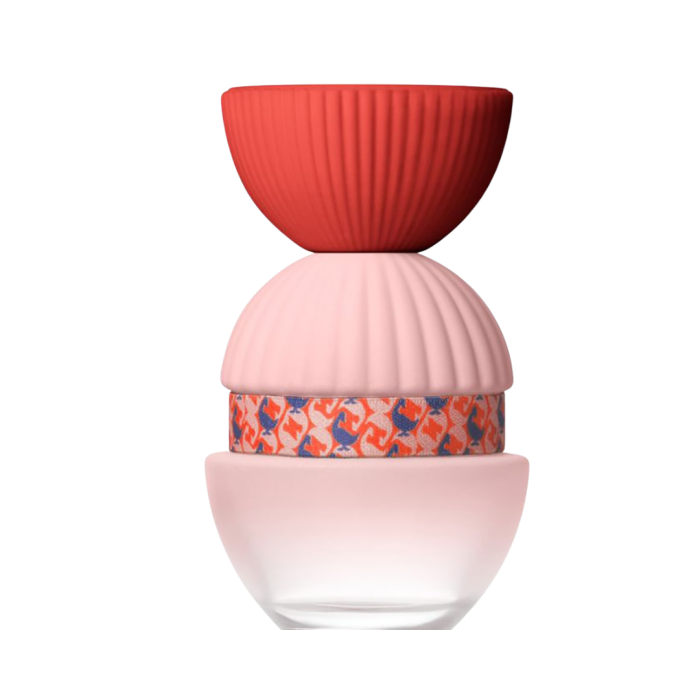 EL GANSO FUN & CHIC WOM EDP 100ML