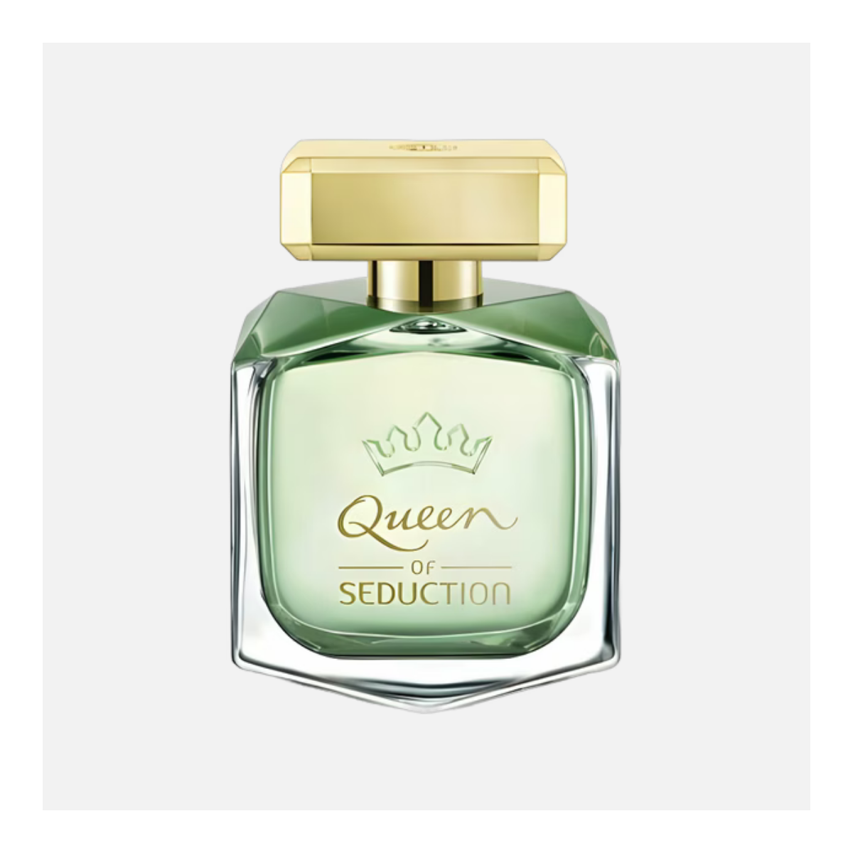GIVENCHY GENTLEMAN SOCIETY EDP 100ML